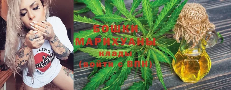 цены   мега tor  Канабис планчик  Гатчина 